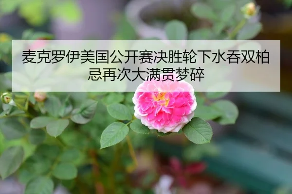 麦克罗伊美国公开赛决胜轮下水吞双柏忌再次大满贯梦碎